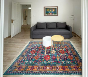 Bright & Spacious Apartment near city center.